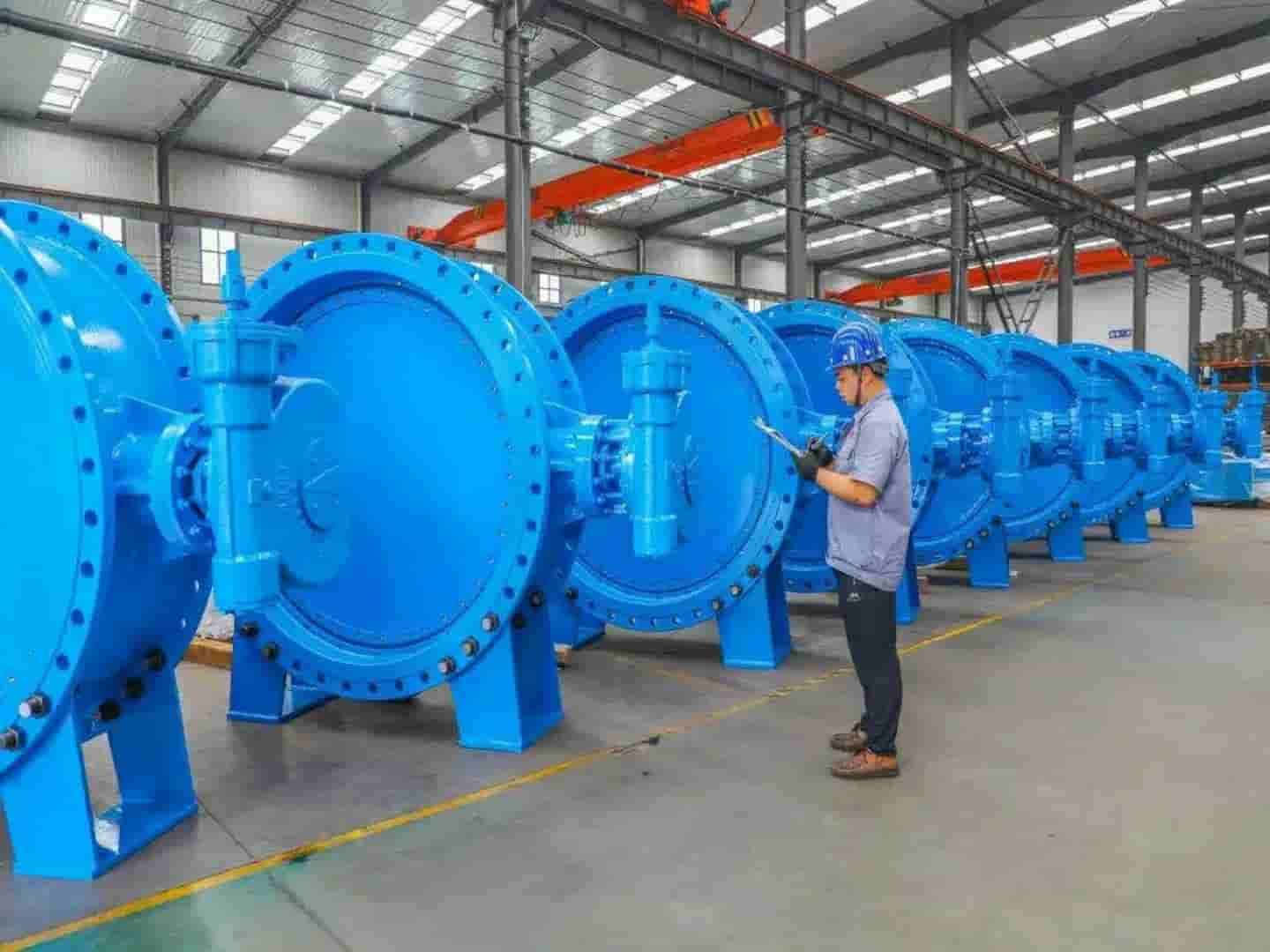 Large Butterfly Valve